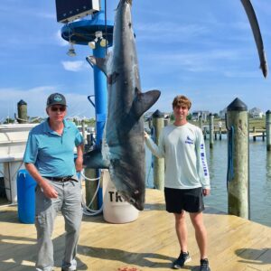 Picture of Thresher shark at the Ocean City Fishing Center.
